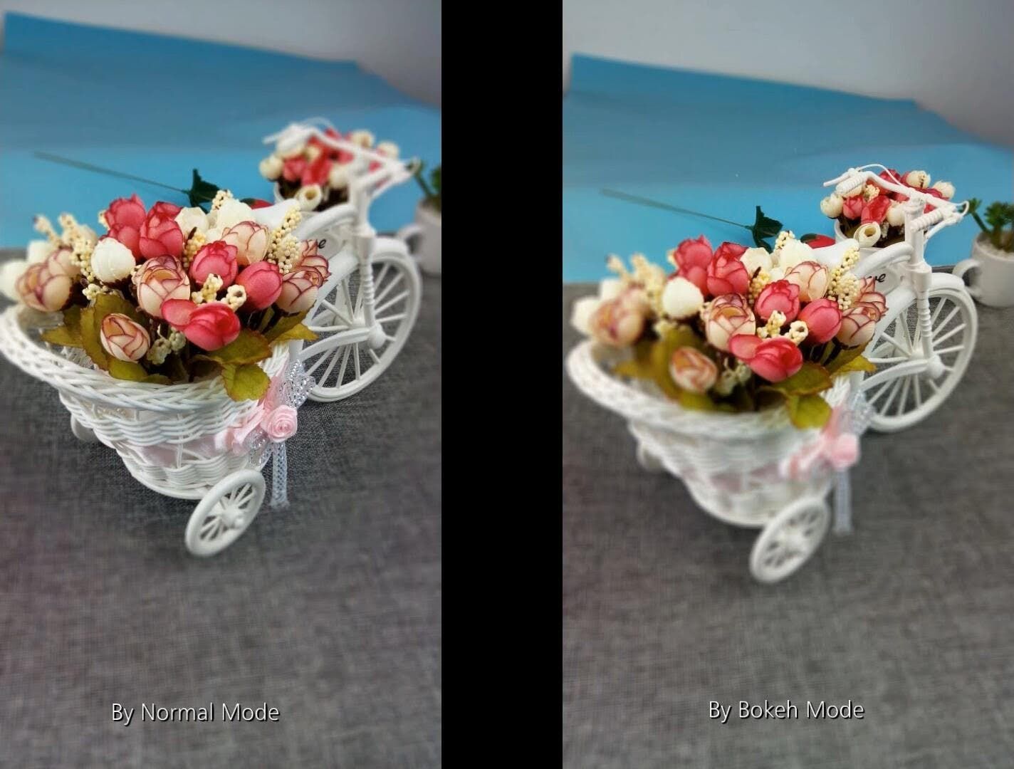 Gretel GT6000 Dual Camera Photo Samples And Special Price News