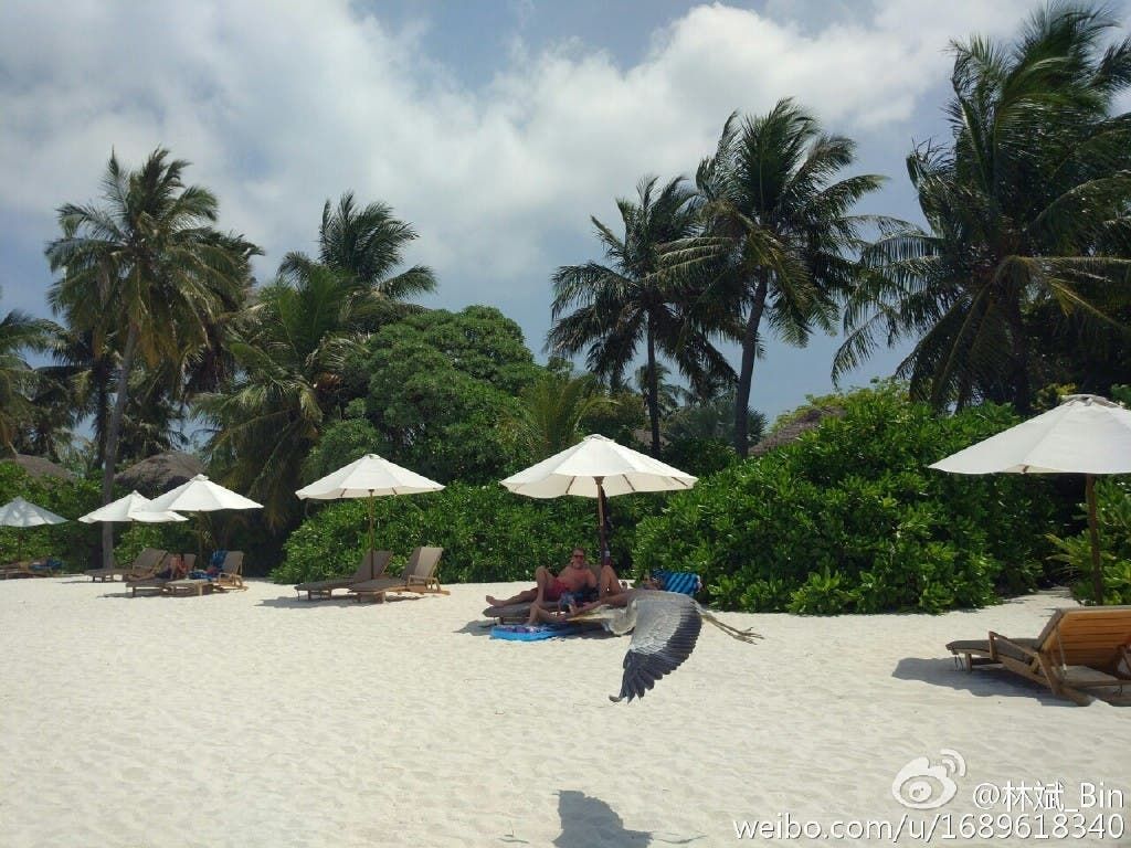 Xiaomi Mi 5 camera samples (straight from company co-founder)