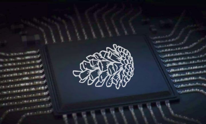 Xiaomi reportedly drops development of its custom Surge chips