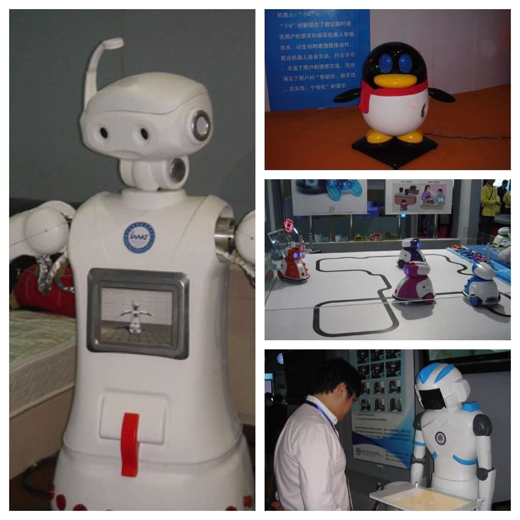 The 12 Robots of the 12th China Hi-Tech Fair.