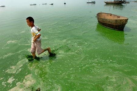 Qingdao University Makes Fire Proof Clothing From Algae!