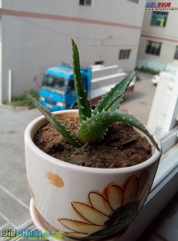 Update: JiaYu G3 Camera Photo Samples