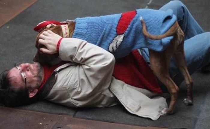 Hond achtergelaten in asiel huilt terwijl ze haar mens ziet weglopen, dagen later verandert alles