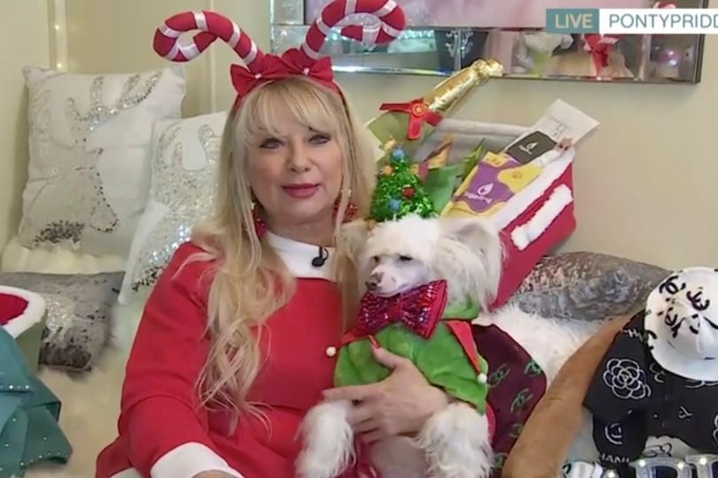Vrouw geeft jaarlijks 25.000 euro uit aan haar hond: “Met kerst krijgt hij voor 5.000 euro cadeautjes”