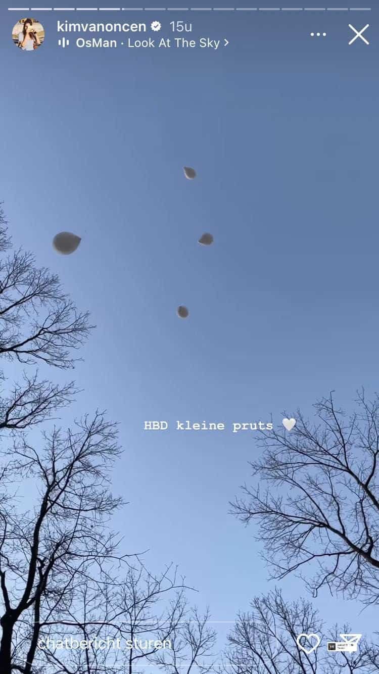 Bron: Instagram Stories