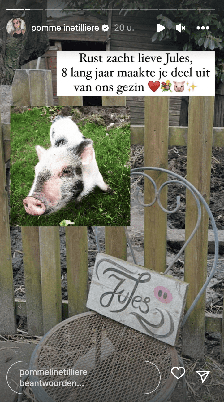 Bron: Instagram Stories