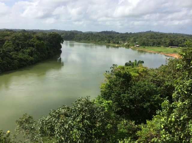 Berg & Dal Eco & Cultural River Resort in Suriname