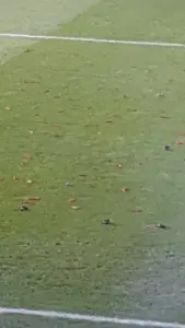Vak P uit kritiek aan Verbeek en Van Halst met rode pepers en spandoeken