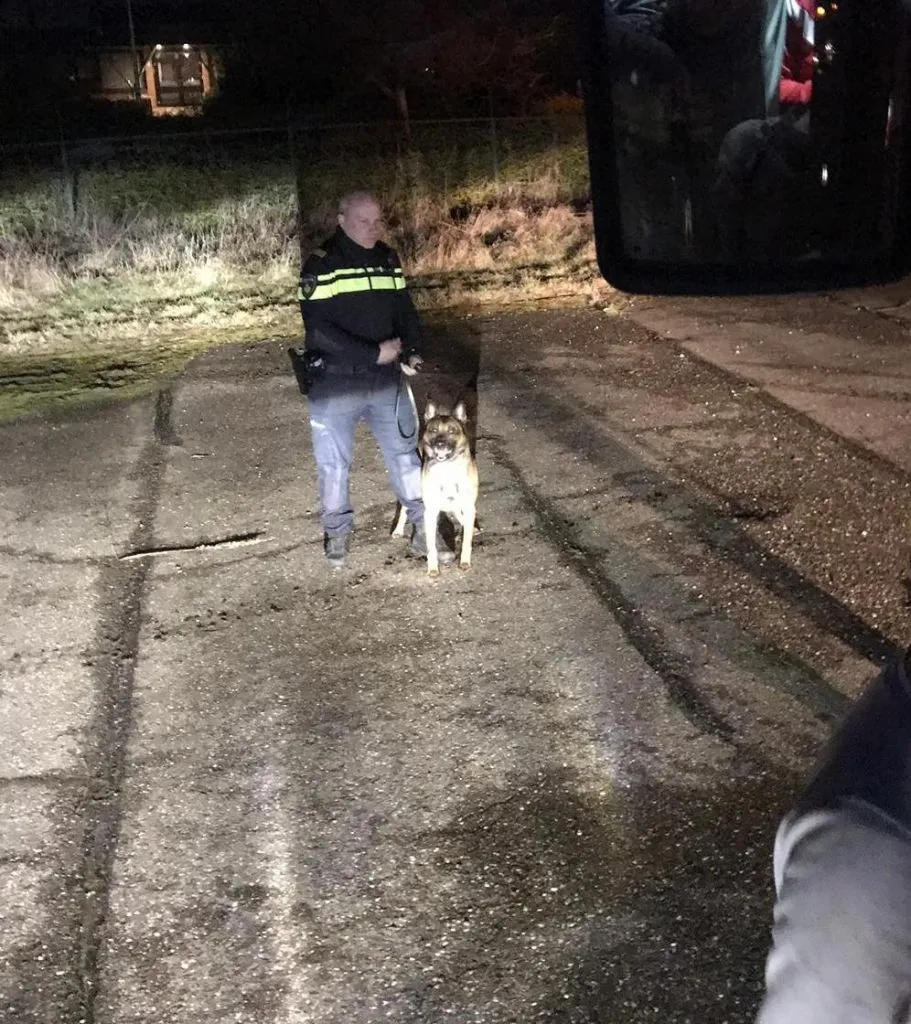 Triest: Bepakte politie houdt supportersbussen aan voor uitgebreide controle