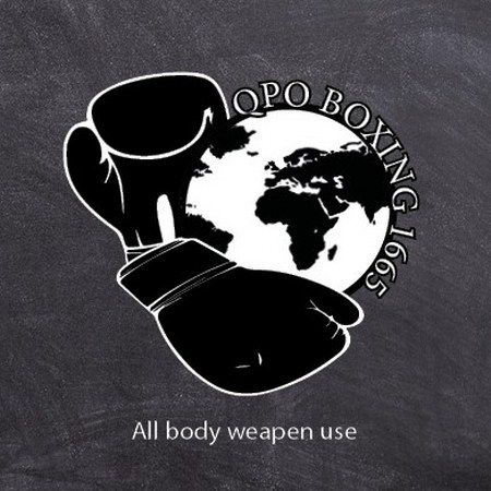 Nederlandse mariniers bedenken 'nieuw' vechtsport systeem