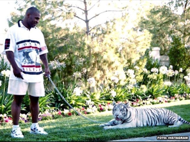 BOKSLEGENDE MIKE TYSON: 'Dat had ik nooit moeten doen'