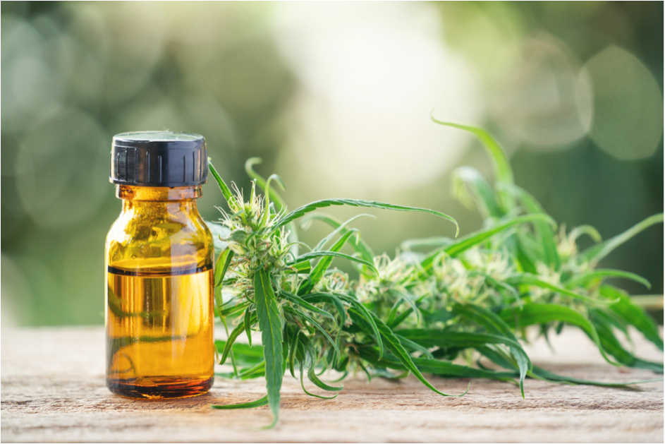 Voordelen van CBD voor Vechtsporters & Atleten