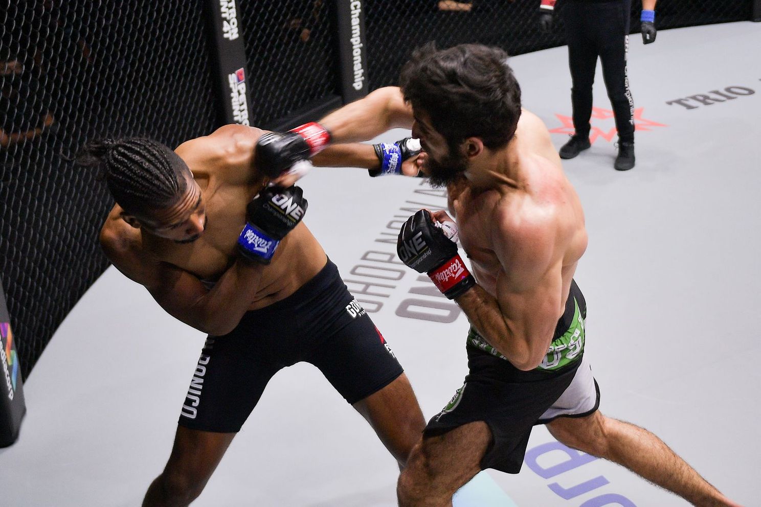 MMA-vechter slaat met één stoot tegenstander knock-out (video)