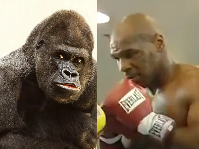 Mike Tyson bood ooit 10.000 omm tegen een Gorilla te vechten.