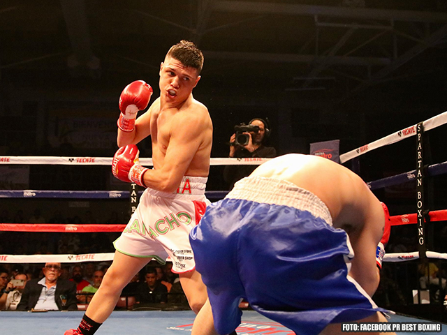 TURBO KNOCK-OUT: Lever ontploffing bij bokser
