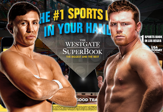 Gokschandaal door controversiële uitslag gevecht Golovkin versus Canelo!