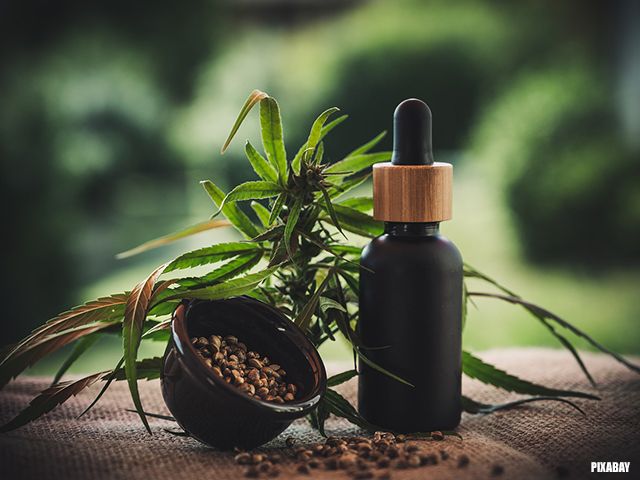 Wiet als bescherming tegen hersenletsel bij MMA-vechters