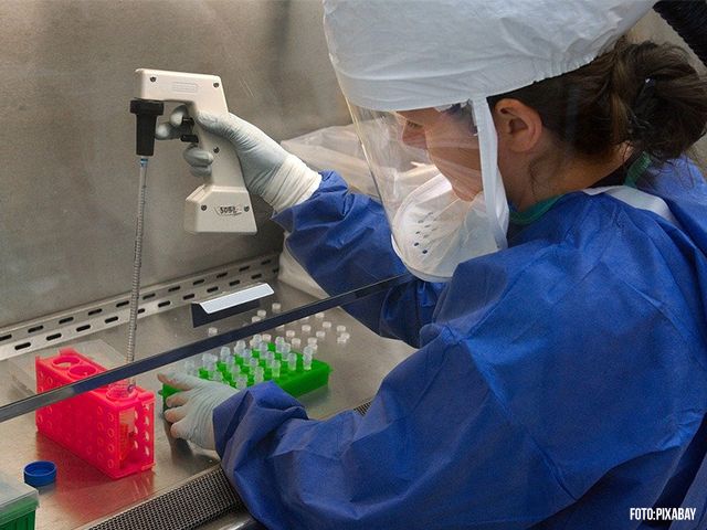 Coronavirus gevaar voor Nederlandse kickboksers en MMA vechters?