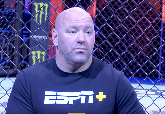 Dana White: 'UFC maakt najaar 2020 start met boksen'