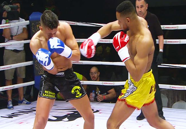 VICELAND koopt exclusieve tv rechten voor Enfusion Kickboksen en MMA