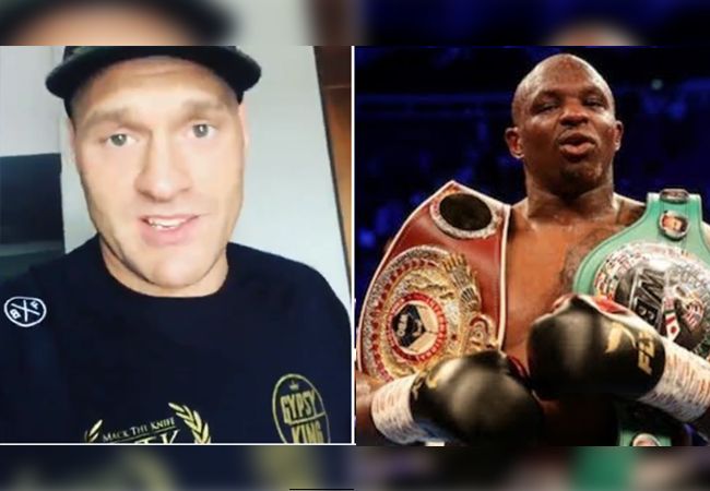 Bokser Dillian Whyte: 'Ik sloeg Tyson Fury knock-out'
