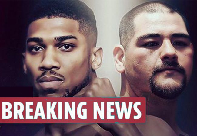 BLESSURE ANTHONY JOSHUA: 'Rematch met Andy Ruiz in gevaar'