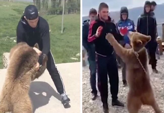 Dierenrechten organisatie PETA boos op UFC kampioen Khabib