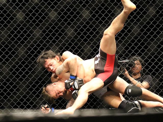 MMA-vechters kunnen elke ziekte en virus aan?