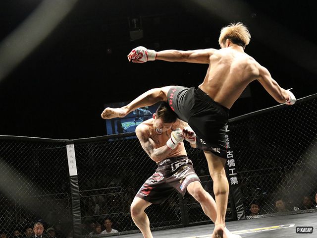 Boksbond helpt bij legaliseren MMA-wedstrijden