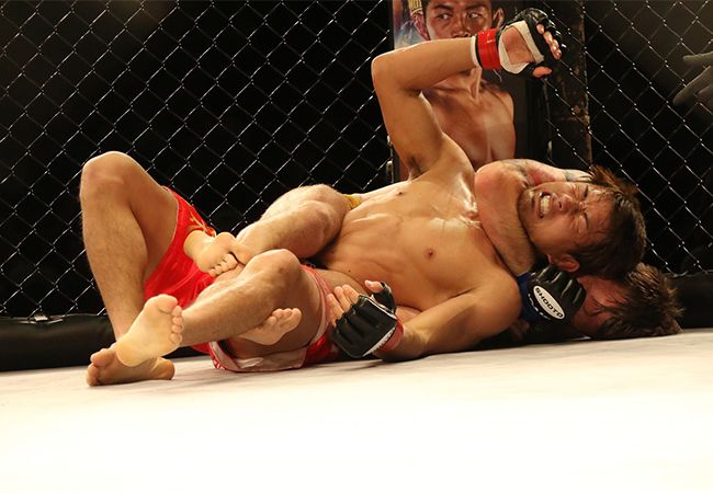MMA & KICKBOKSEN: Van verbod tot volkssport en acceptatie