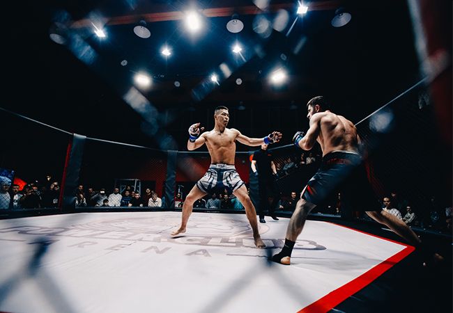 MMA-gevechten niet langer illegaal in Frankrijk
