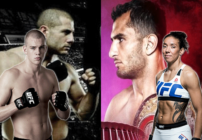 Nederlandse top MMA-vechters uitstervend ras?