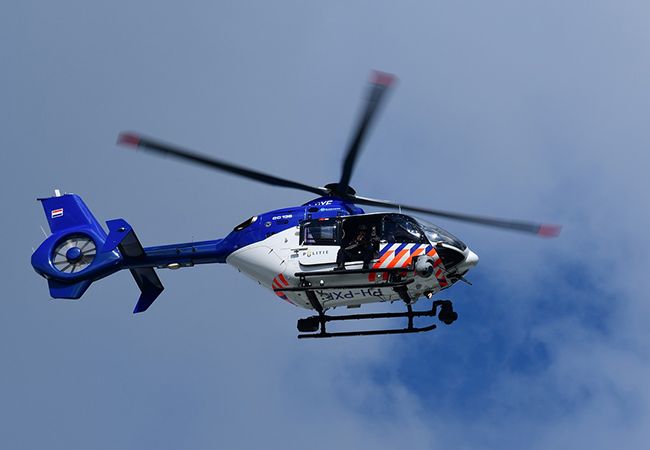 MMA-vechter slaat Rotterdamse politieagent en hond in elkaar