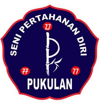 Seni Pertahanan Diri-Pukulan
