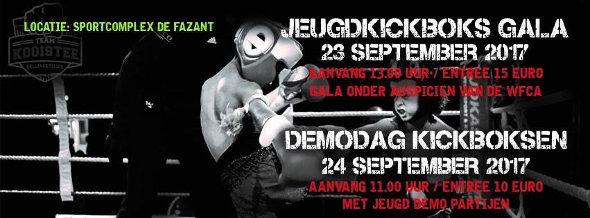 Jeugd kickboks wedstrijden Team Kooistee