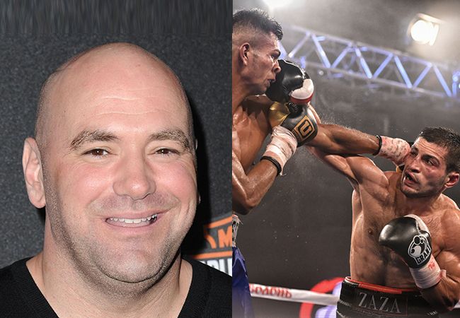 UFC-BAAS DANA WHITE: 'Boksen is een shit sport'