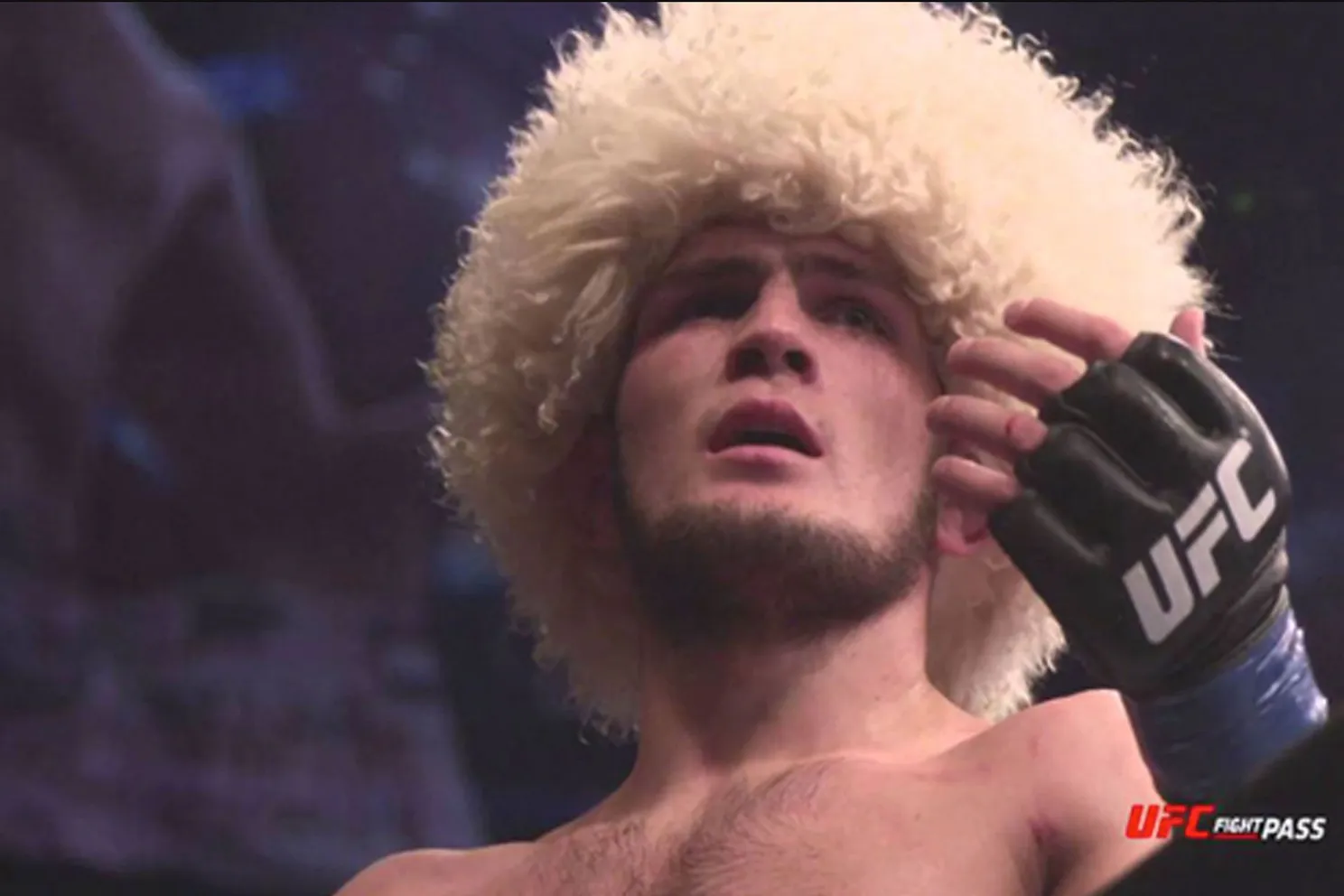 khabib nurmagomedov