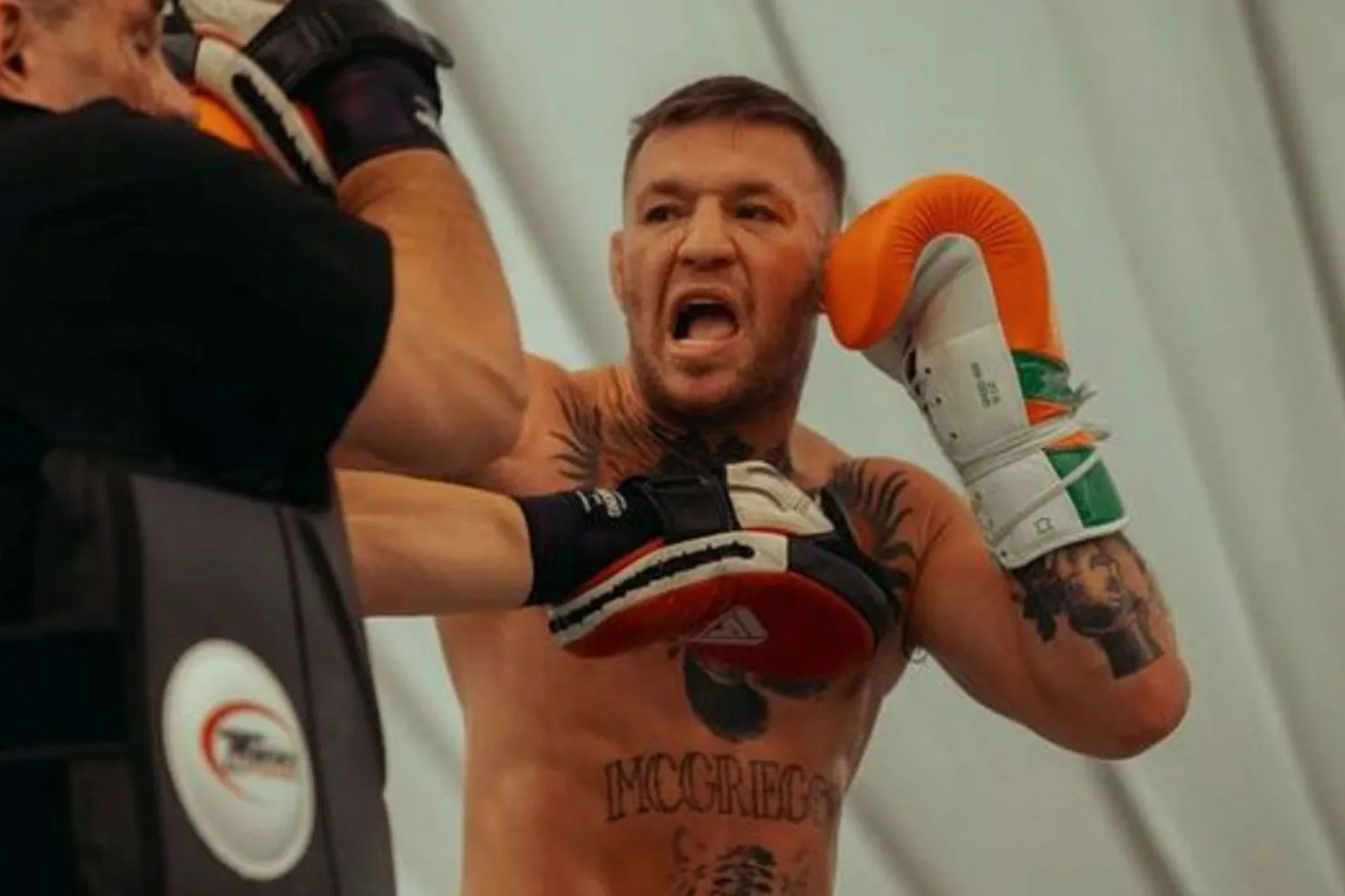 Conor McGregor in de ring met opgeheven vuisten, tijdens zijn training De arena is verlicht, het publiek juicht.