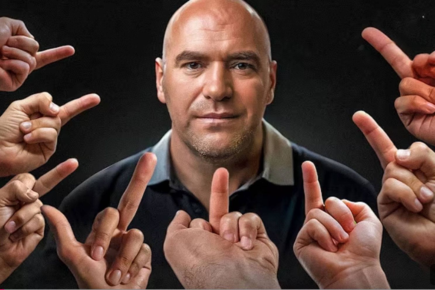dana white