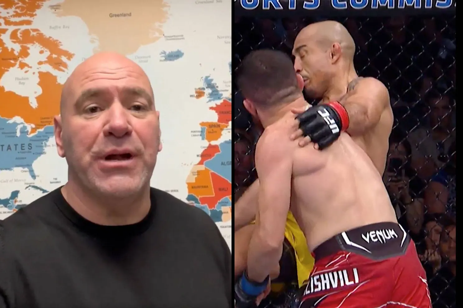 dana white