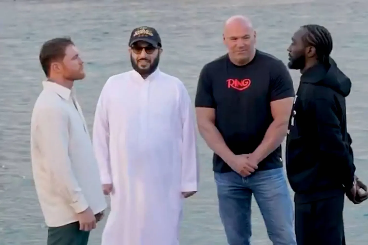 UFC baas Dana White gaat het kapotte boksen redden - dit is het plan