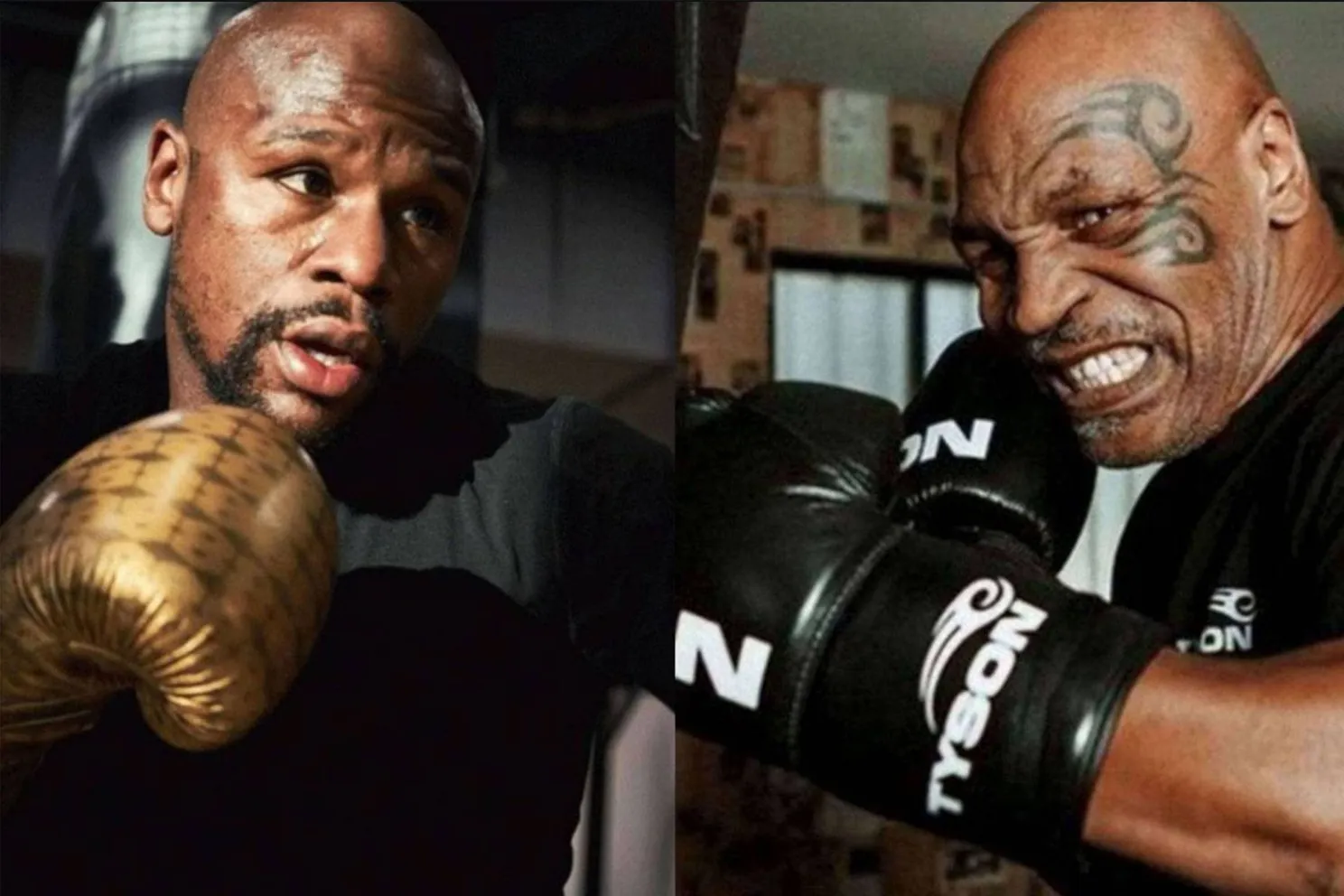 Tyson 59 en Mayweather 48 kondigen gevecht aan - hersenletsel garantie!