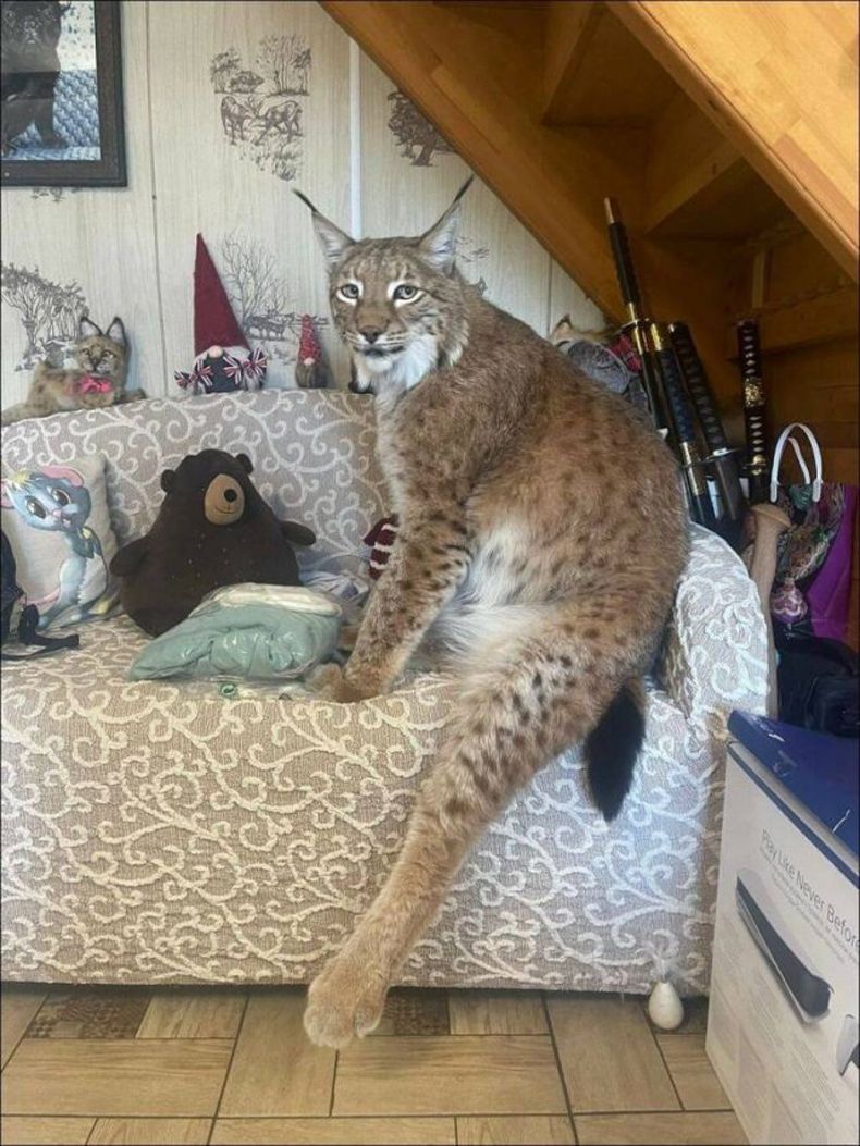 Gewoon een verzameling hilarische foto's #1487