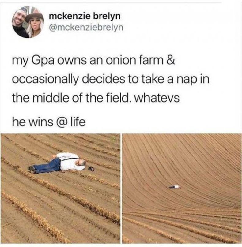 Gewoon een verzameling hilarische foto's #1487