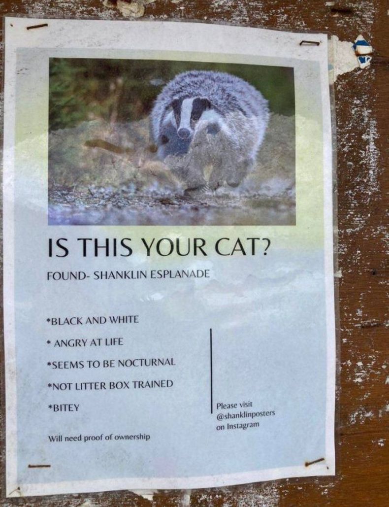 Gewoon een verzameling hilarische foto's #1487