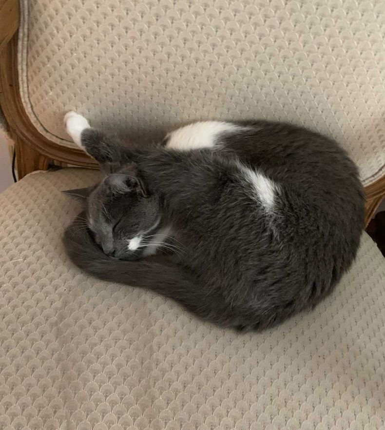 Gewoon een verzameling hilarische foto's #1487