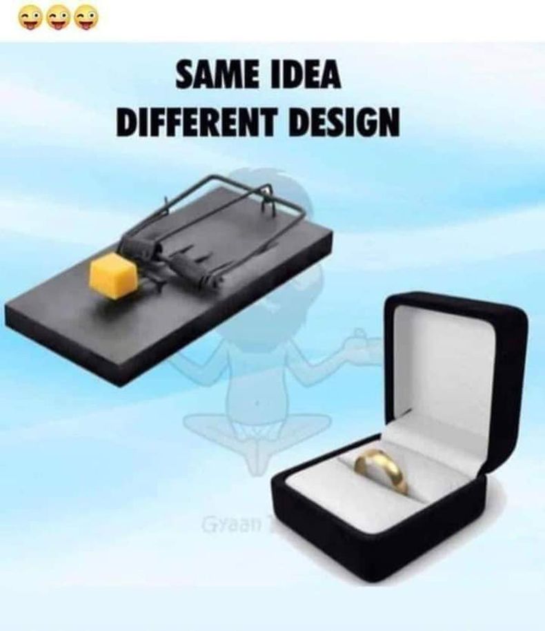 Gewoon een verzameling hilarische foto's #1487