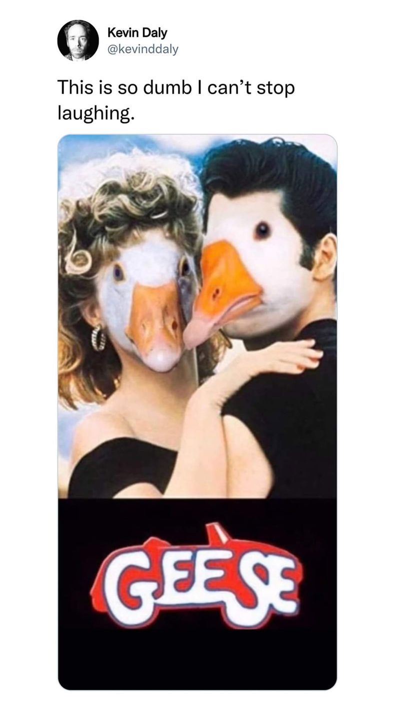 Gewoon een verzameling hilarische foto's #1487