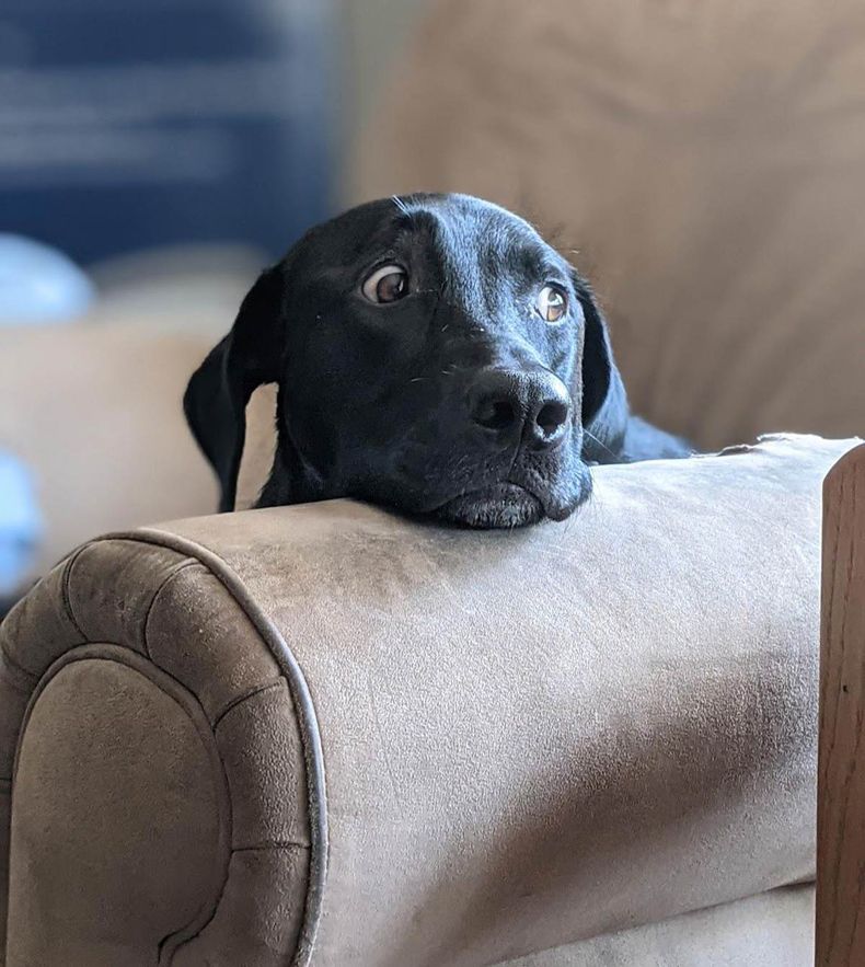 Gewoon een verzameling hilarische foto's #1487
