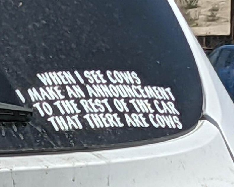 Gewoon een verzameling hilarische foto's #1487